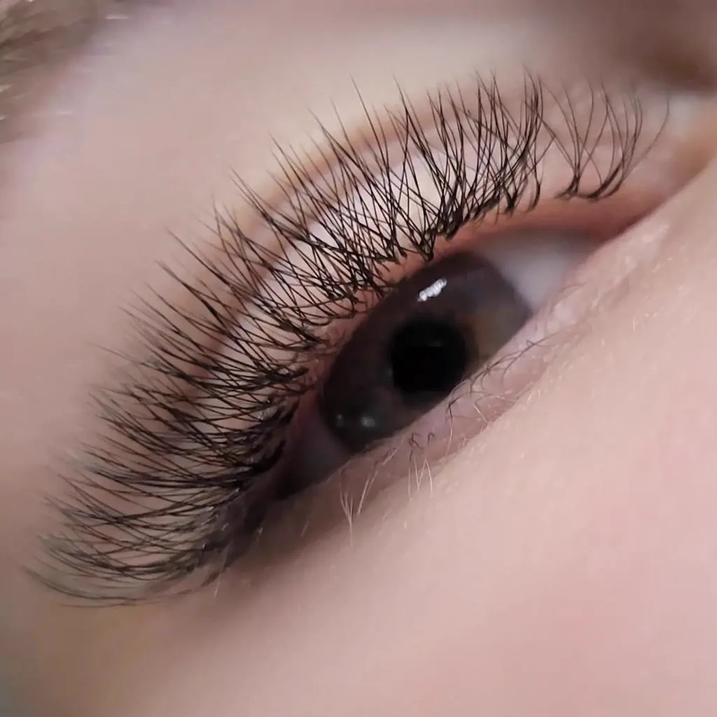 2. Volume Eyelash Extensions image 3